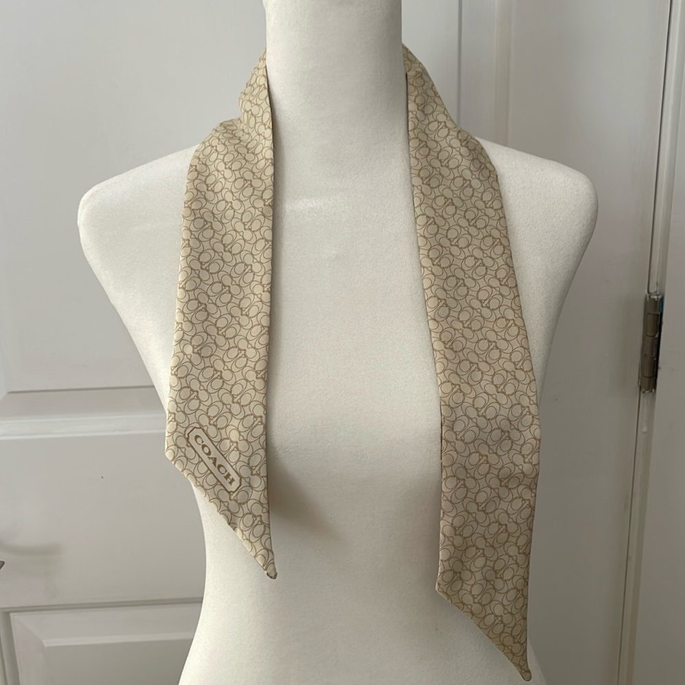 Coach silk Scribble Scarf